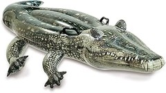 Comparativa entre hinchables acuáticos con forma de animales y otros tipos