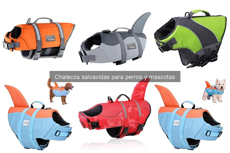 Alternativas a chalecos salvavidas para perros: opciones seguras