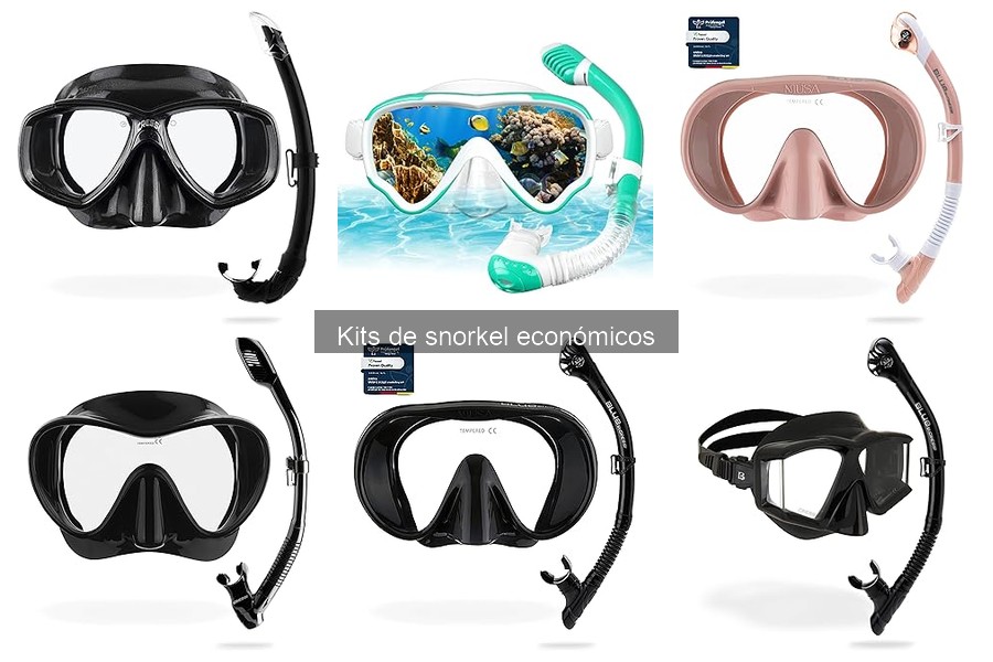 Alternativas a Kits de Snorkel Económicos: Lo Que Debes Saber