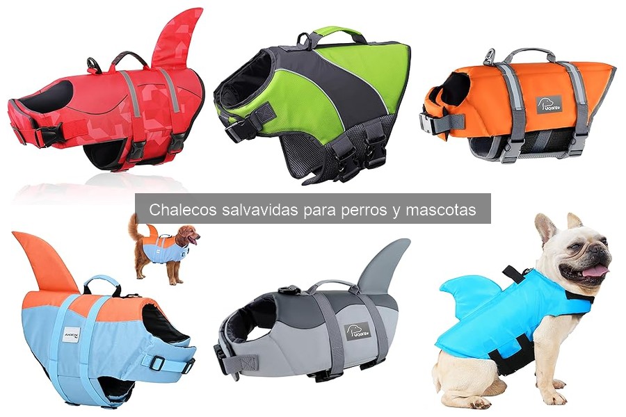 Cómo elegir el chaleco salvavidas ideal para tu perro