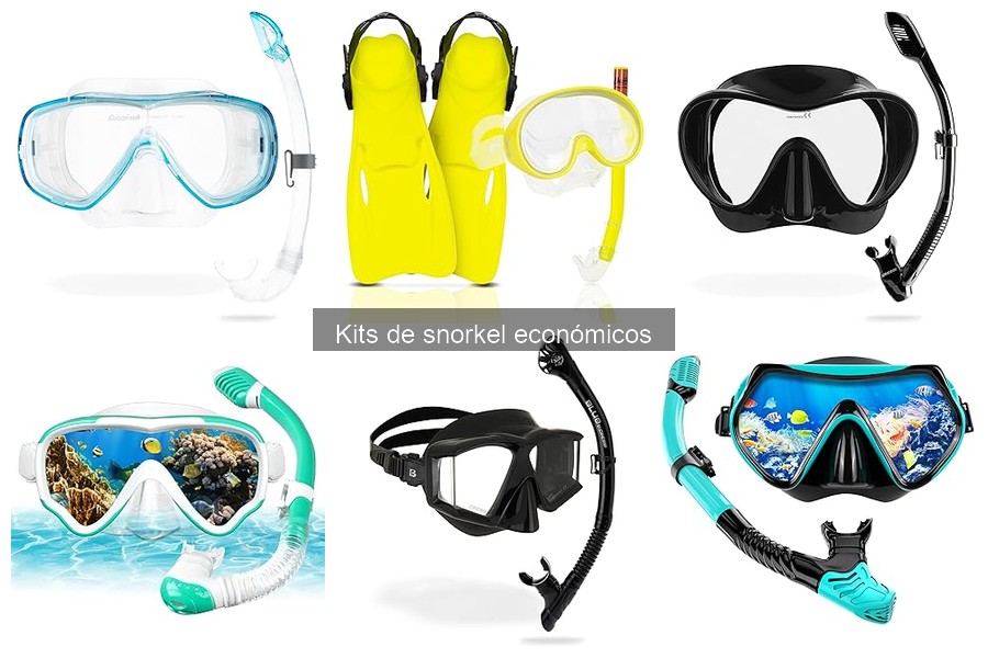 Cómo elegir un kit de snorkel económico: guía y consejos