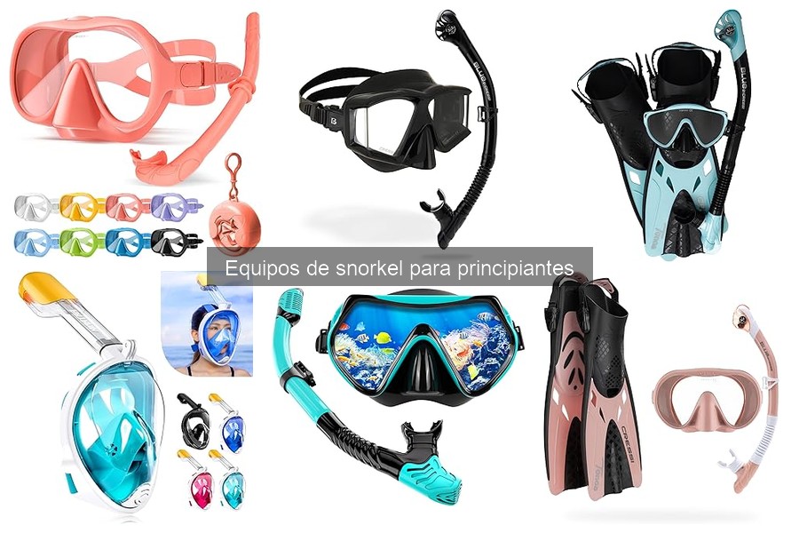 Cómo usar correctamente el equipo de snorkel: Guía para principiantes
