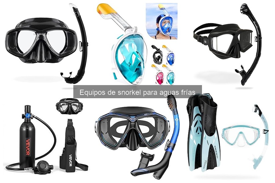 Cómo usar el equipo de snorkel en aguas frías