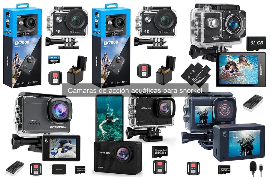 Comparativa de Calidad de Imagen en Cámaras para Snorkel