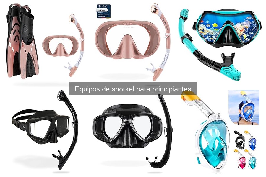Comparativa de Equipos de Snorkel para Principiantes