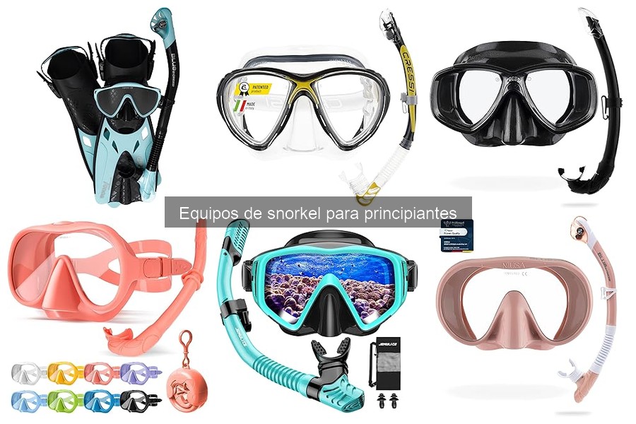 Cuidado y Mantenimiento del Equipo de Snorkel para Principiantes