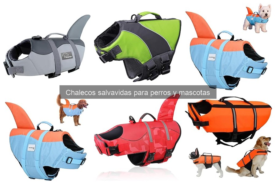 Dónde comprar chalecos salvavidas para perros y mascotas