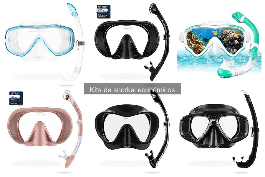 Guía de Kits de Snorkel Económicos: Todo lo que Debes Saber
