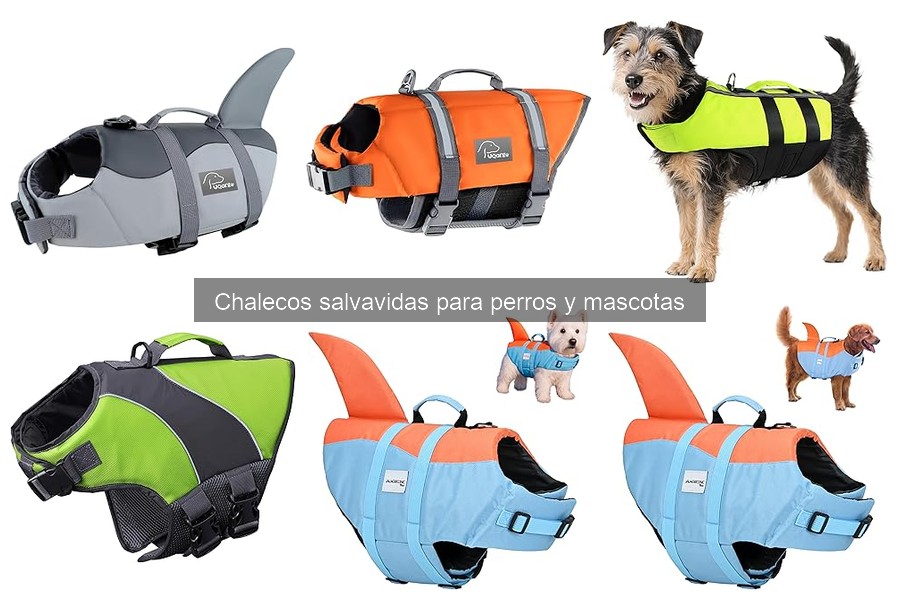 Mejores chalecos salvavidas para perros en 2023: Comparativa
