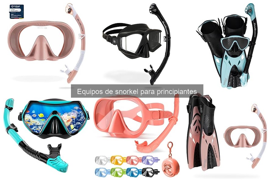 Mejores equipos de snorkel para principiantes en 2023