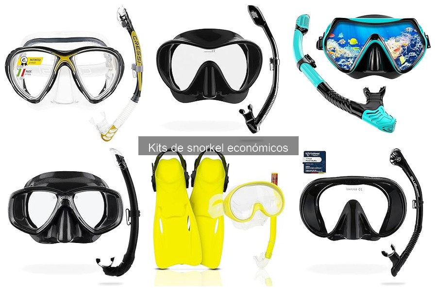 Mejores kits de snorkel recomendados para principiantes