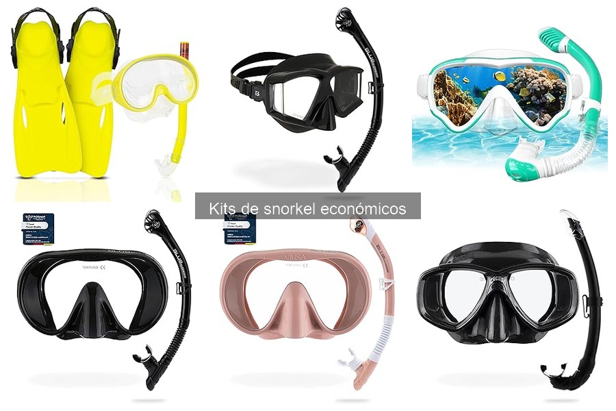 Mejores ofertas en kits de snorkel económicos