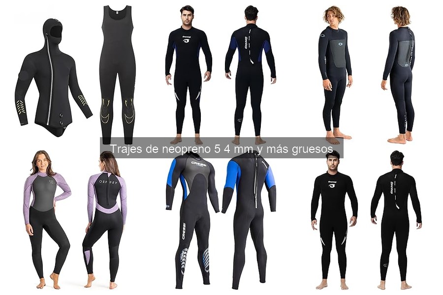 Precios de Trajes de Neopreno de 5 mm: ¿Cuánto Cuestan?
