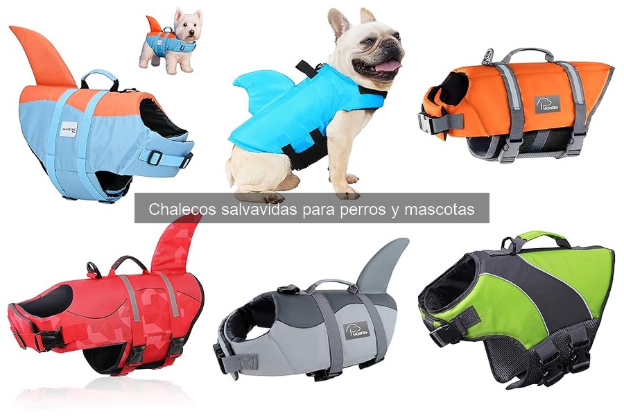 ¿Qué es un chaleco salvavidas para perros? Guía y Funciones