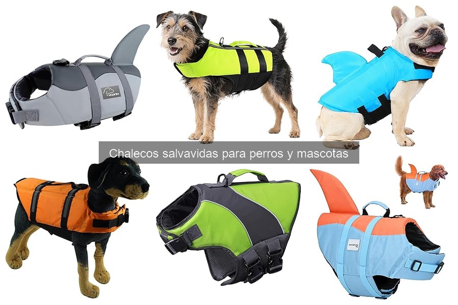 Tipos de chalecos salvavidas para perros: guía completa
