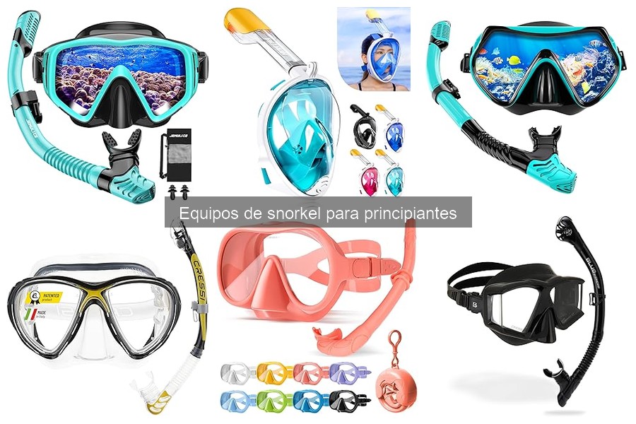 Tipos de equipos de snorkel para principiantes: guía y opciones
