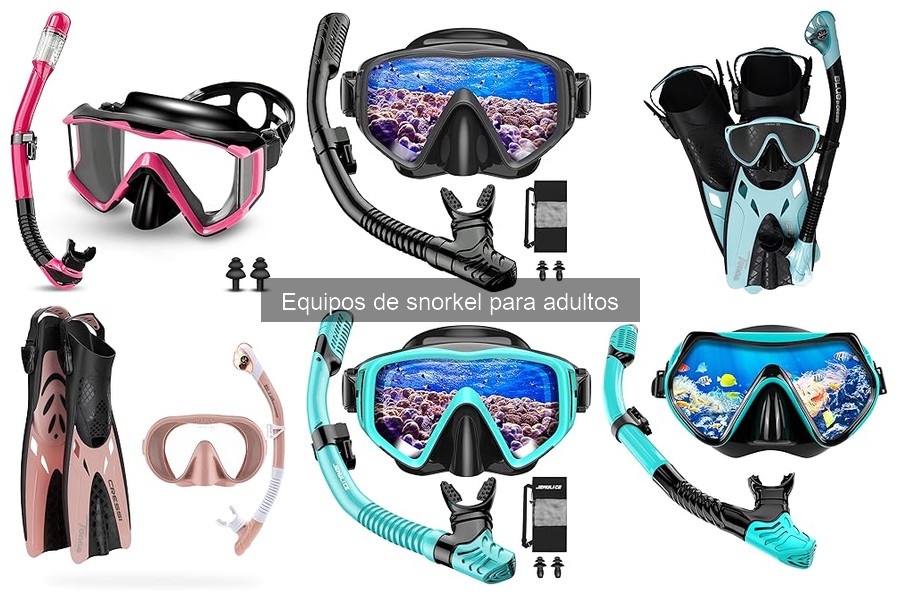Ventajas y desventajas: tubos de snorkel secos vs. tradicionales